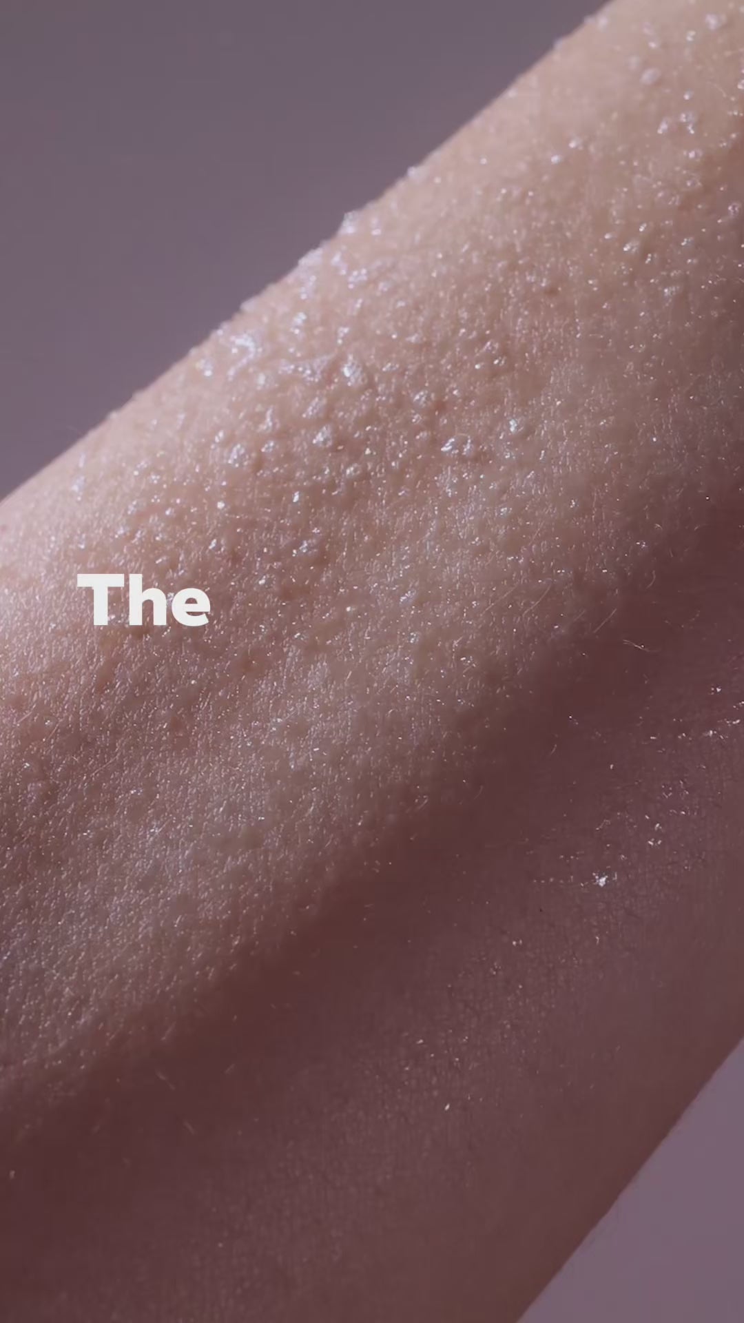 The Everywhere Spray-to-Wipe - Trio Set